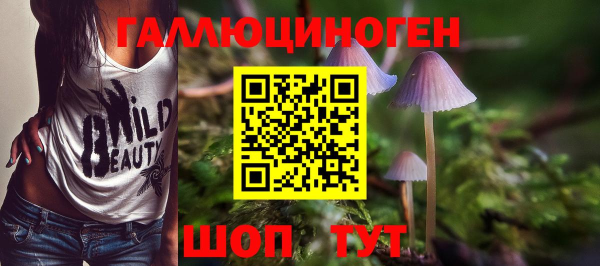 Галлюциногенные грибы GOLDEN TEACHER Грозный